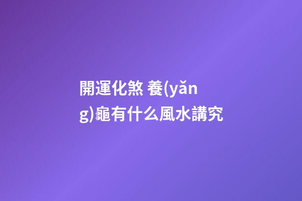 開運化煞 養(yǎng)龜有什么風水講究